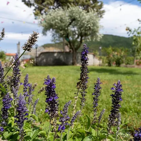Nocleg ze śniadaniem L'antico Mercato Sarconi